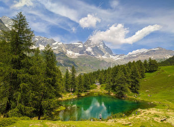 Scenic view of lake by trees against sky