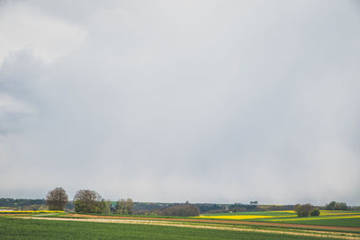 Scenic view of field against sky