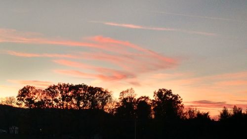 Silhouette trees against sky during sunset