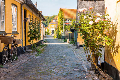 Beautiful, small, yellow rustic houses. traditional scandinavian style.