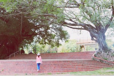 Woman standing on tree trunk