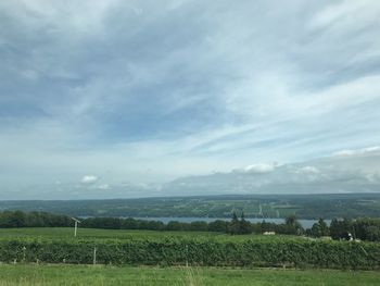 Scenic view of agricultural field against sky