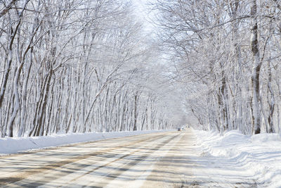 Snow covered road amidst bare trees