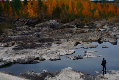 Man standing on rock amidst trees