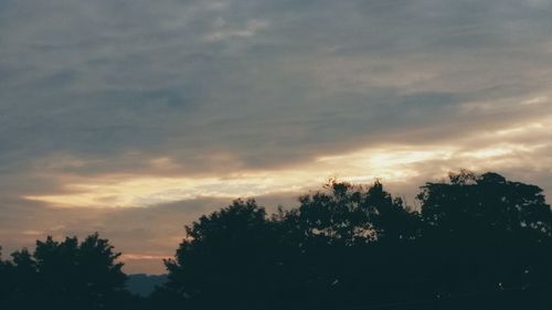 Silhouette of trees against sky at sunset