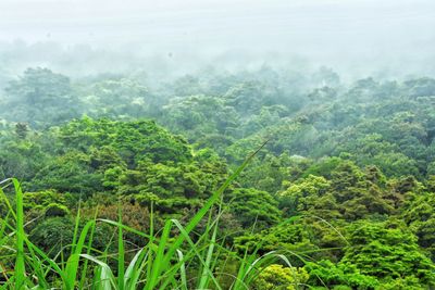 Scenic view of landscape