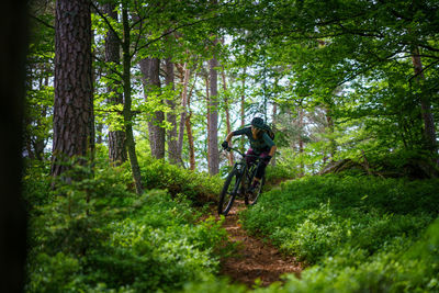 Woman riding mountain bike on footpath amidst trees in forest, austria