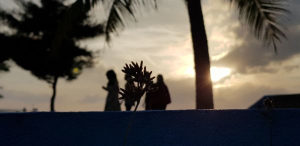 Low angle view of silhouette palm trees against sky at sunset