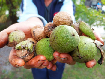 Close-up of hand holding fruits