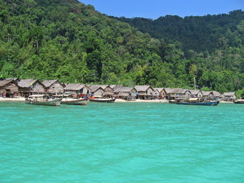 View of the morgan village at mu koh surin national park with traditional house, and crystal sea. 