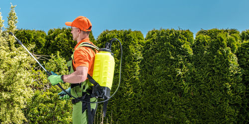 Man spraying insecticide on plants on sunny day