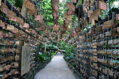 Narrow alley amidst buildings