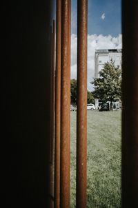 Plants growing on field seen through window of building