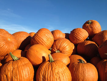 Stack of pumpkins against sky