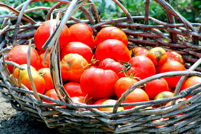 Close-up of tomatoes in basket