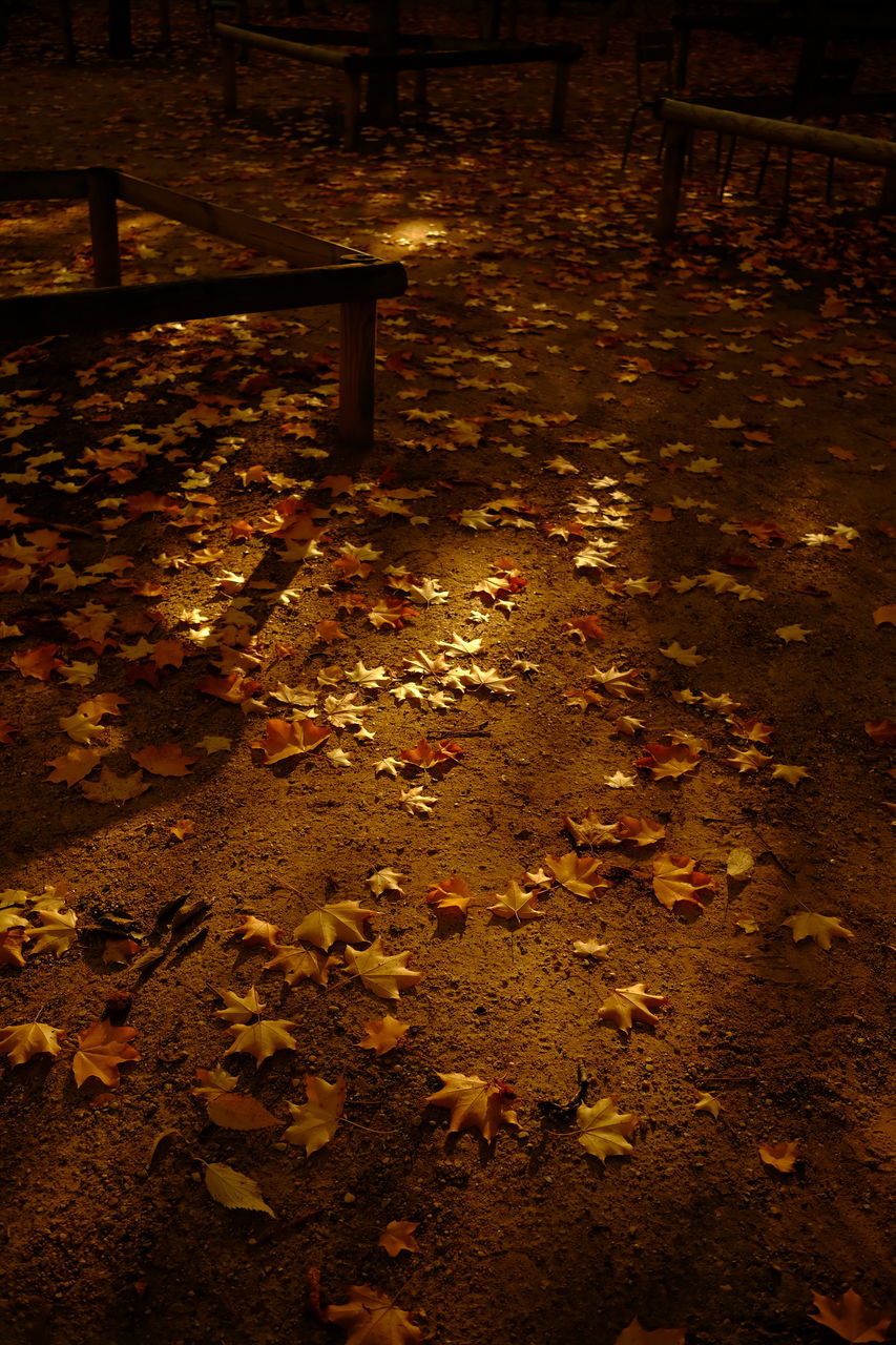 darkness, light, night, no people, wall - building feature, illuminated, nature, yellow, outdoors, architecture, backgrounds