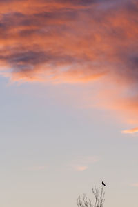 Low angle view of sky during sunset