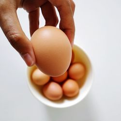 Close-up of hand holding eggs