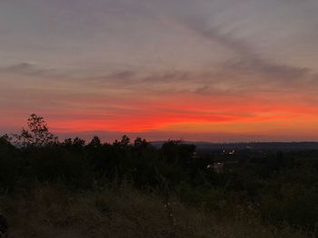Scenic view of silhouette trees against sky during sunset