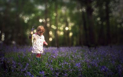 Flowers growing in field