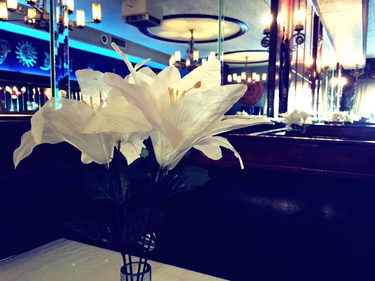 indoors, flower, table, vase, white color, petal, chair, sunlight, shadow, decoration, flower head, fragility, potted plant, no people, empty, restaurant, freshness, day, home interior, white