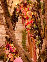 Close-up of flowering plants hanging on tree trunk