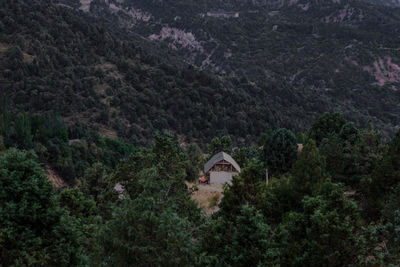 Chimgan mountains, summer