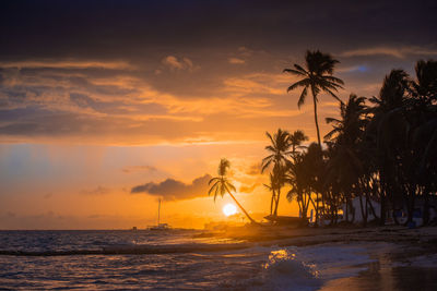 Sunset on the beach. tropical paradise, white sand, beach, palm trees and clear water.