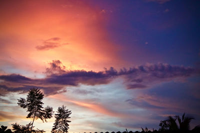 Low angle view of silhouette trees against sky during sunset
