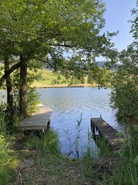 Scenic view of lake in forest against sky