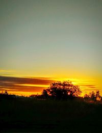 Silhouette of trees at sunset