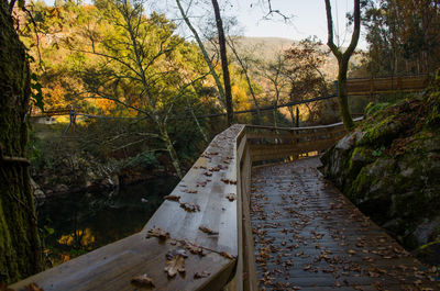 Footbridge over river amidst trees in forest