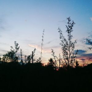 Silhouette of trees against sky at sunset