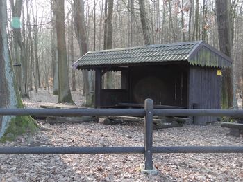 House by trees in forest during winter