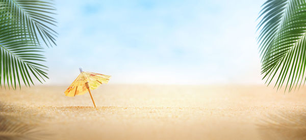 Close-up of palm leaves on beach against sky