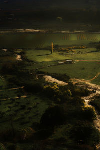 High angle view of trees on field