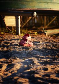 Crocs lying on sand