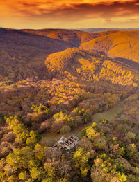 Autumn colours in mecsek hills from drone view