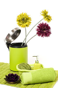 Flowers in vase against white background