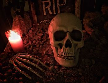 Close-up of human skull