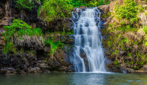 View of waterfall in forest