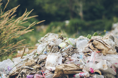 Garbage on plants