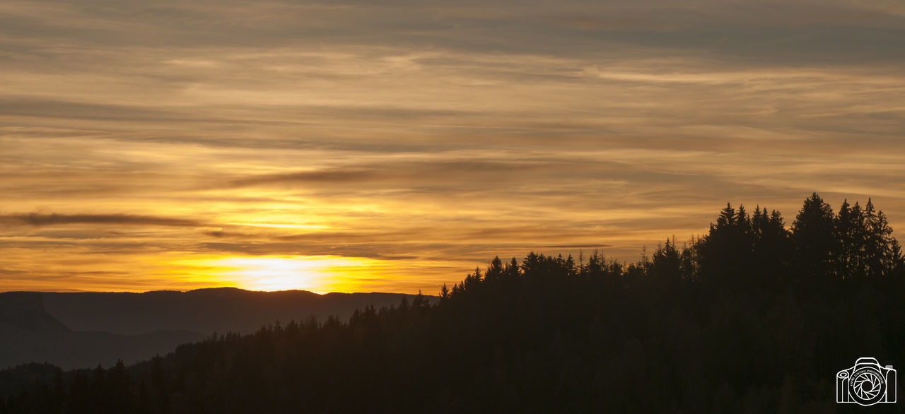 sunset, tree, sky, beauty in nature, scenics, nature, tranquil scene, cloud - sky, silhouette, tranquility, no people, outdoors, day