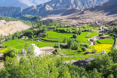 Aerial view of agricultural field