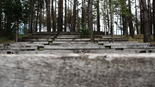 Low angle view of wooden staircases in forest