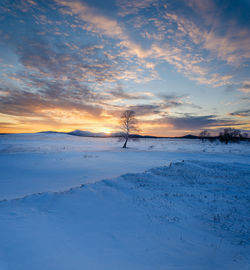 Scenic view of snow covered field against sky during sunset