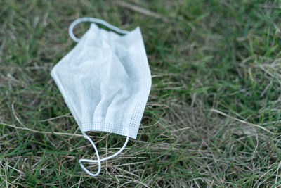 Close-up of umbrella on field