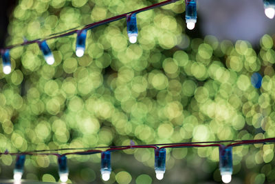 Close-up of illuminated light bulbs hanging