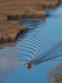 Bird flying over lake