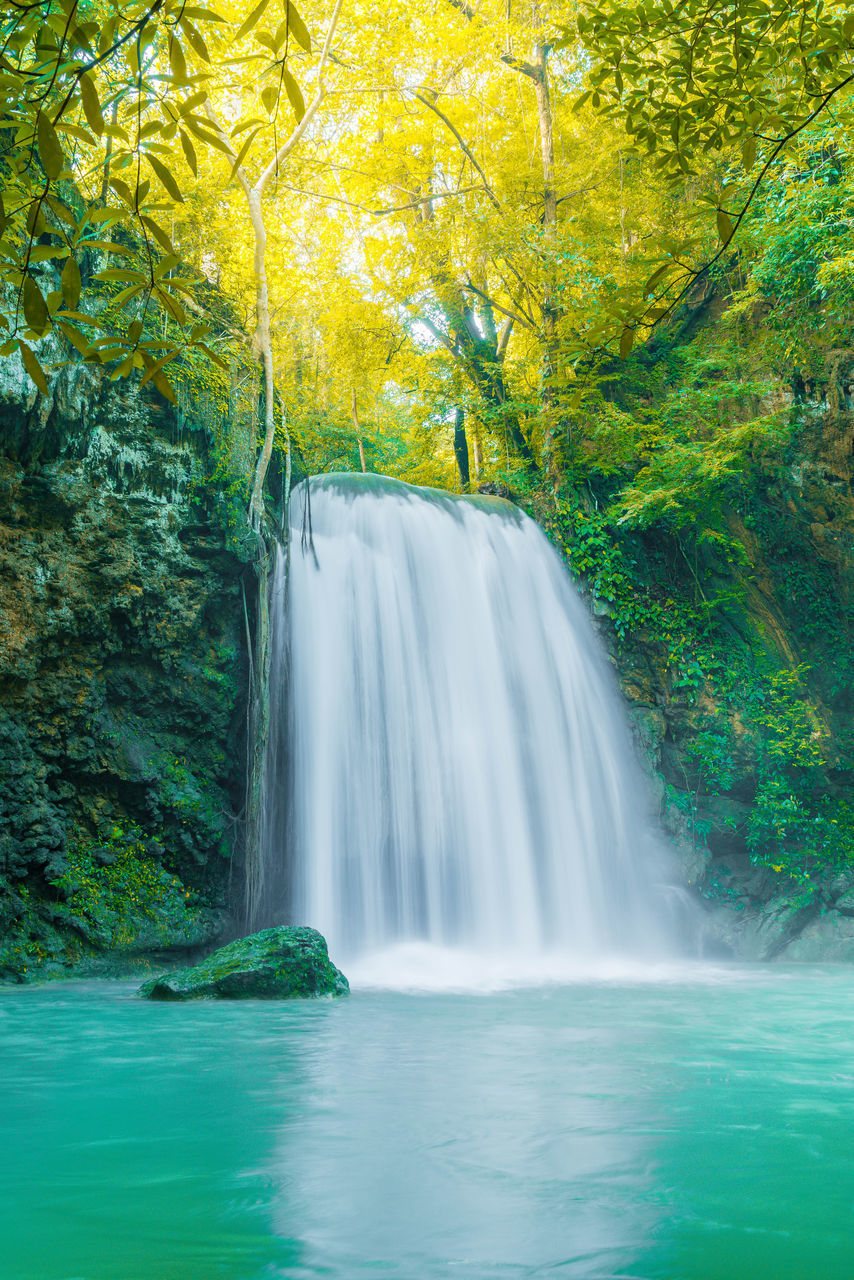 SCENIC VIEW OF WATERFALL AGAINST TREES